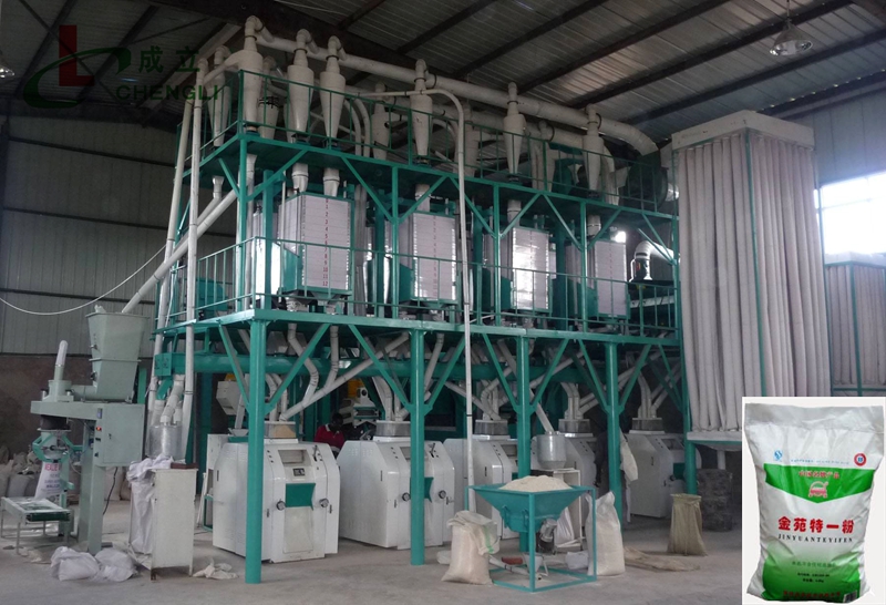 50T/D Wheat Flour Milling plant Wheat Flour Mill