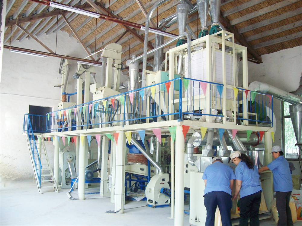 20-30T/D Maize Flour Milling Machine Automatic Maize Corn Milling Machine
