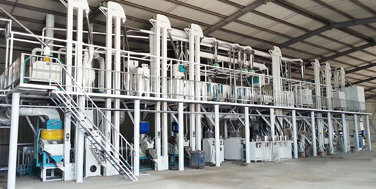 150T/24 Industrial Maize Corn Flour Mill Plant Maize Grits Mill