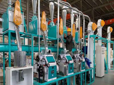 20-30T/D Maize Flour Milling Machine Automatic Maize Corn Milling Machine
