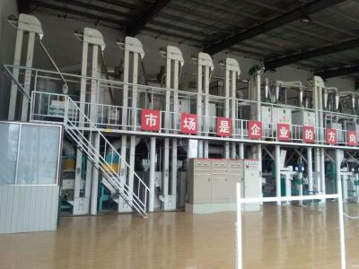 100T Maize Meal And Grits Mill Production Line Maize Flour Milling Machine