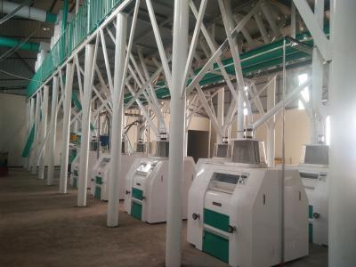 150T/24 Industrial Maize Corn Flour Mill Plant Maize Grits Mill