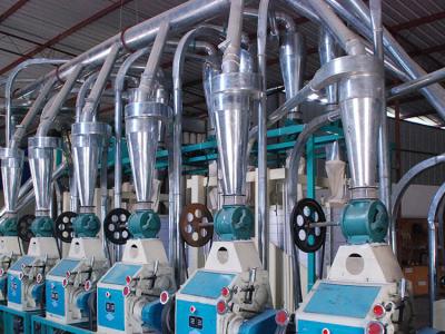 30T/D Wheat Flour Milling Machine Flour Mill 