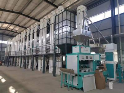 100 tons of millet processing equipment in xingtai installation commissioning