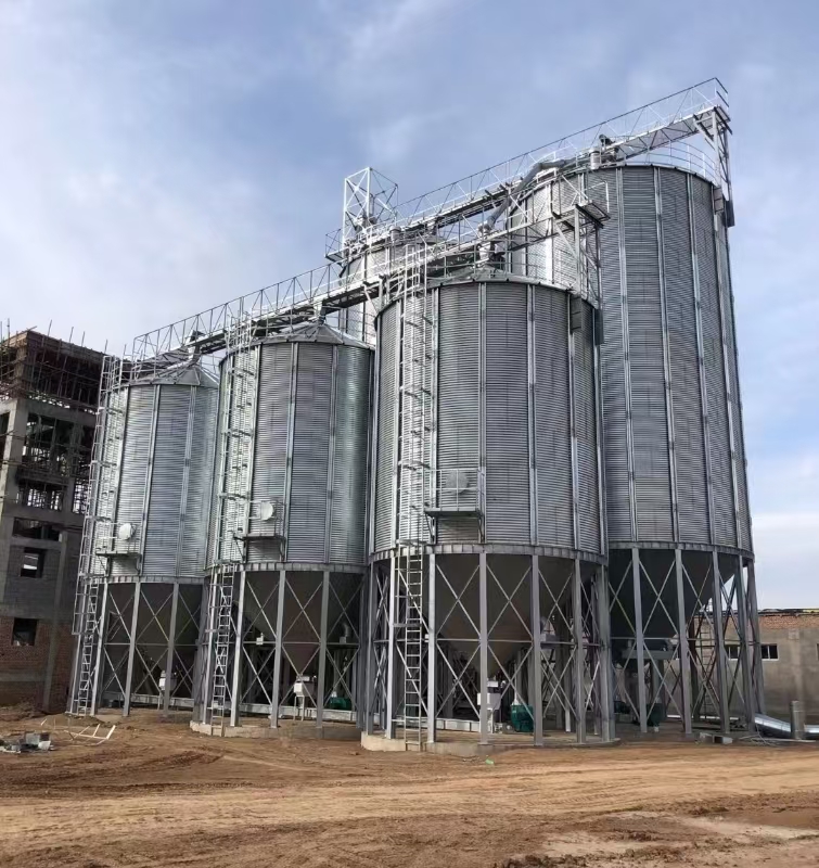 1000ton Galvanized Grain Storage Silo Prices For Farm 